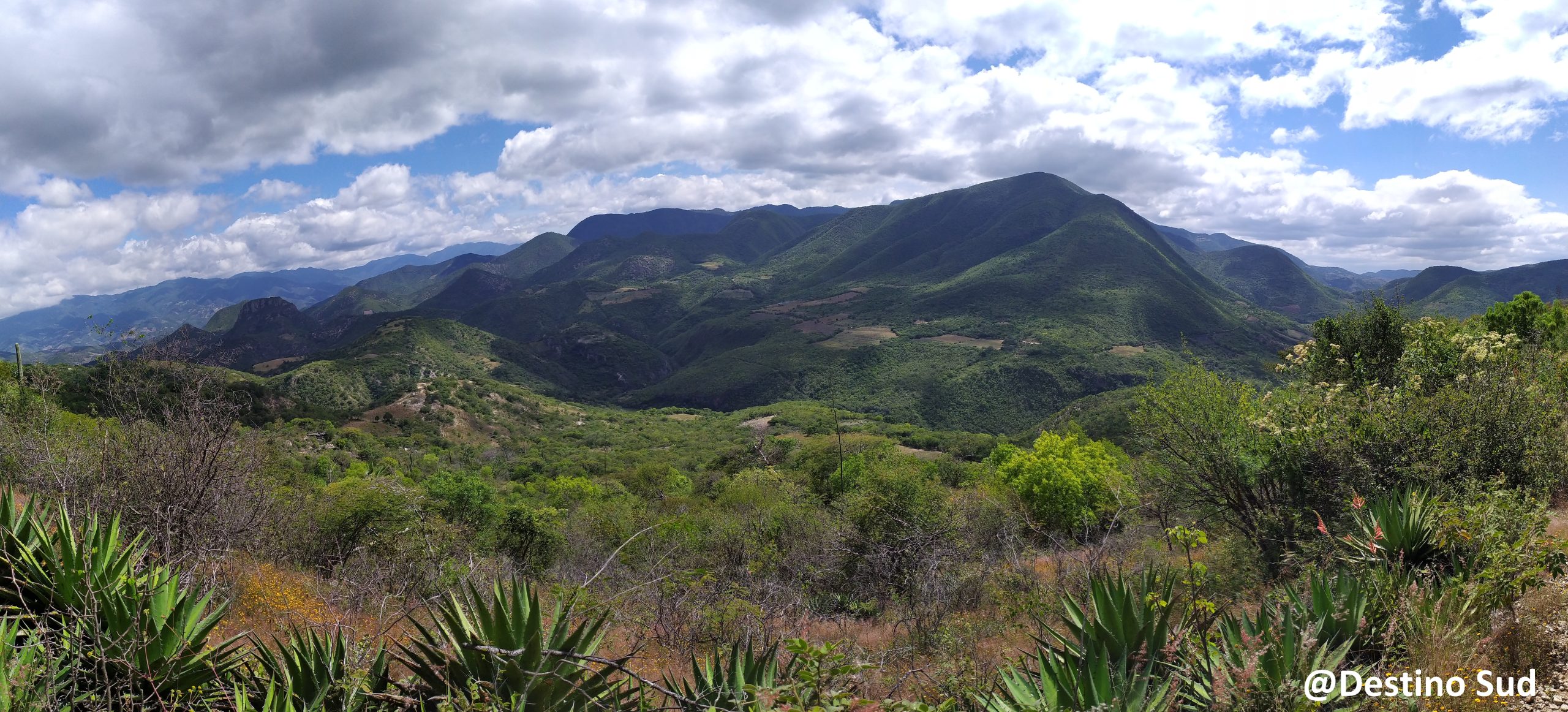 Que voir et que faire à Oaxaca ?